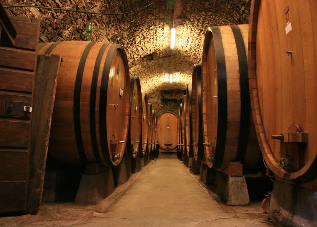 Bodega con grandes toneles de roble