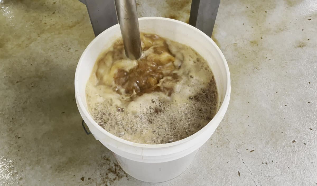 Cubo con mosto de cerveza recién salido del tanque